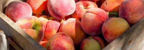 桃子一天吃多少为宜