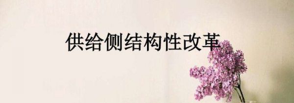 供给侧结构性改革是什么意思