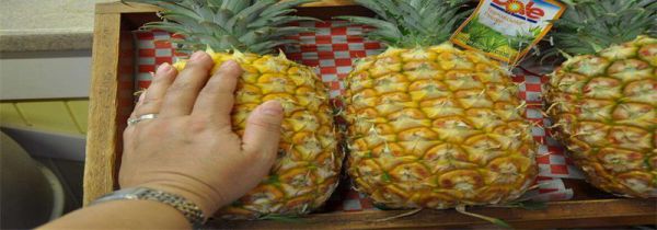 凤梨的营养价值及功效与禁忌