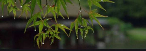 梅雨季节指的是几月