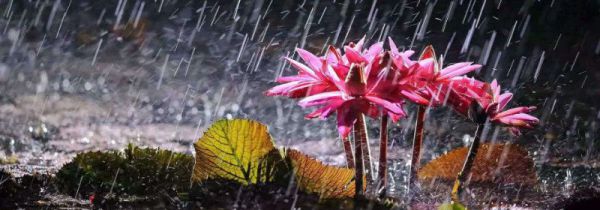 梅雨季节一般持续多久