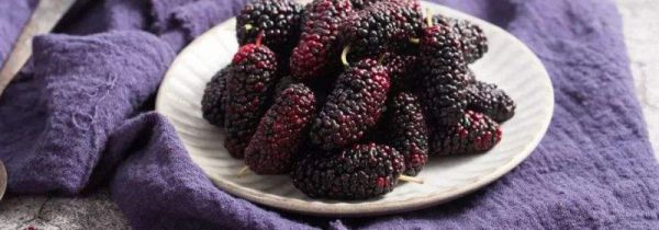 大量新鲜桑葚怎么保存