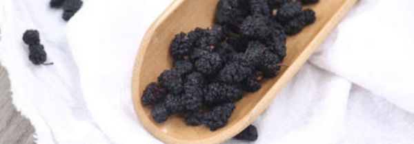 桑葚干的功效与作用禁忌