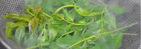 香椿怎样长期保存