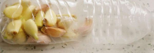 怎样长期保存大蒜不生芽