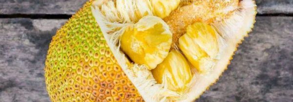 切开的半个菠萝蜜怎么保存