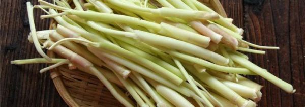 野生芦苇笋的吃法