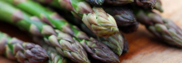 芦笋头上的花能吃吗