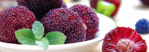 杨梅跟西瓜可以一起吃吗