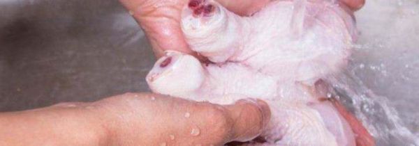 鸡肉冻冰箱之前可以洗吗