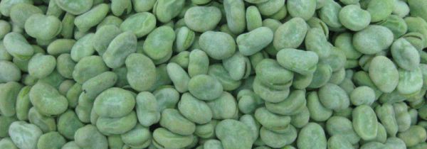 蚕豆可以冷冻保存吗