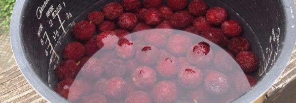 杨梅可以用盐水泡一晚上吗