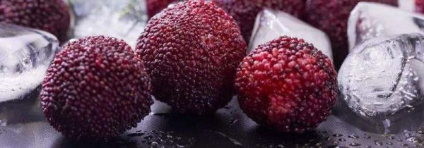 杨梅和蓝莓可以一起吃吗