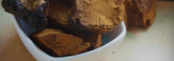 桦树茸泡水隔夜能喝吗