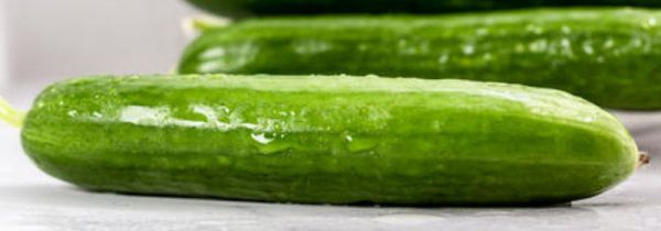 黄瓜和西红柿一起吃有毒吗