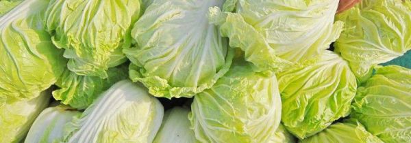 白菜和土豆能一起吃吗