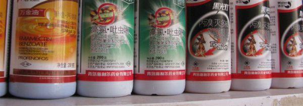 夏季家里很多虫怎么办