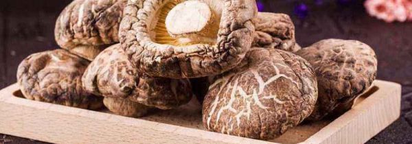 香菇有什么营养和功效