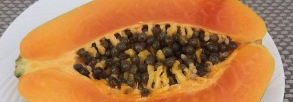 木瓜里的黑色籽能吃吗