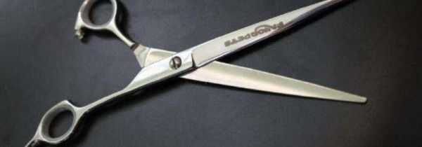 剪刀可以带上火车吗