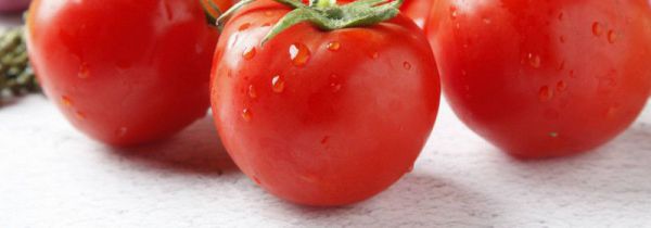 西葫芦和西红柿能一起吃吗