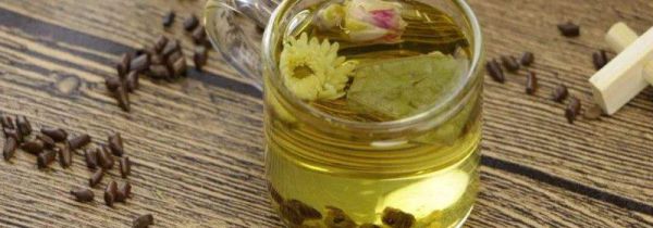 蒲公英决明子菊花茶的功效与作用