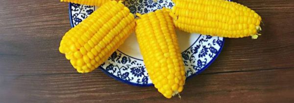 玉米干瘪了还能吃吗