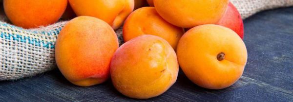 杏子和苹果能一起吃吗