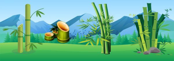 竹子实际是什么