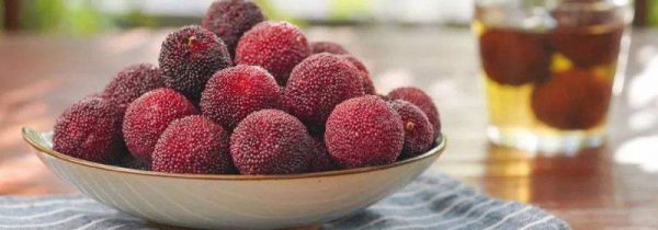 杨梅怎样保存时间长又新鲜