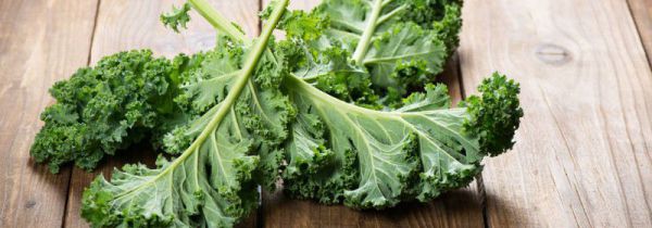 羽衣甘蓝能生吃吗