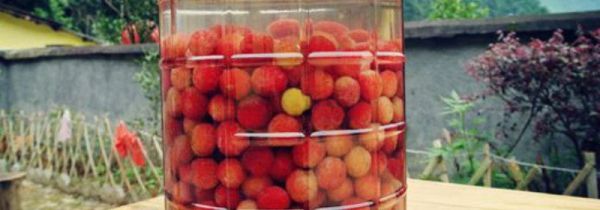 杨梅可以和枸杞子一起泡酒吗