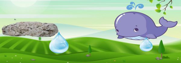 龙涎香来自哪种动物