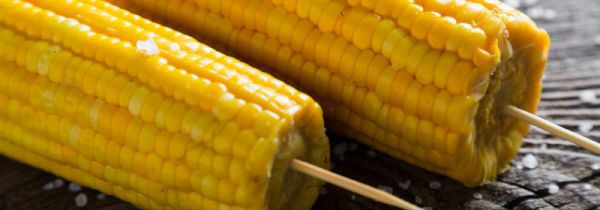 玉米棒子煮多久能熟