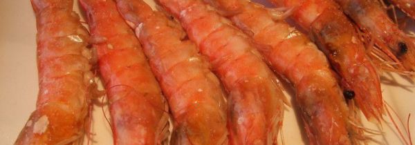 大虾和牛奶能一起吃吗