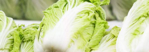 白菜和娃娃菜的区别