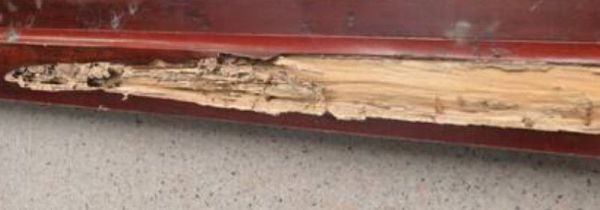 门框被白蚁蛀空了可以补吗