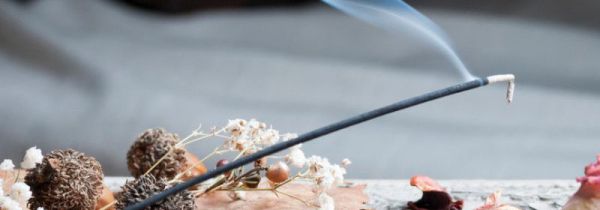 晚上开窗有飞虫怎么解决