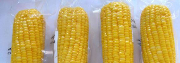 真空包装机怎么用