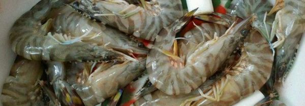 罗氏虾怎么去除虾线