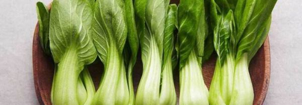 小白菜和西红柿能一起吃吗