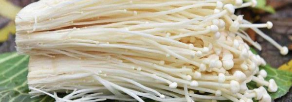 金针菇怎么穿串技巧