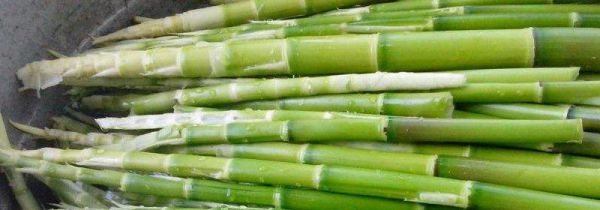 竹笋焯水后用冷水泡吗