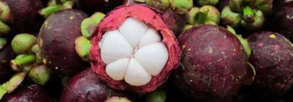 山竹挑选软的还是硬的?