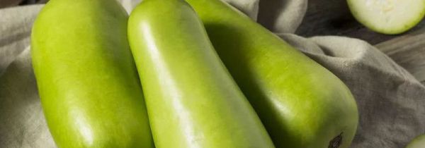 瓠子不能和什么同吃