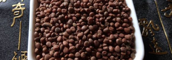 萝卜籽的功效与作用吃法