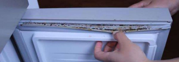 冰箱密封条很黑怎么洗