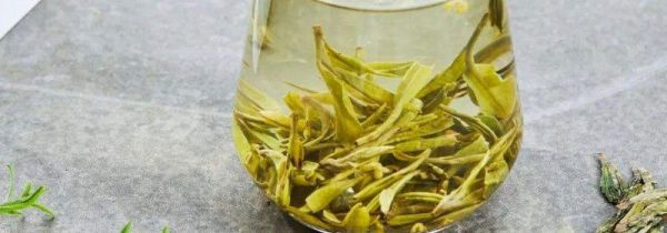 西湖龙井属于什么茶