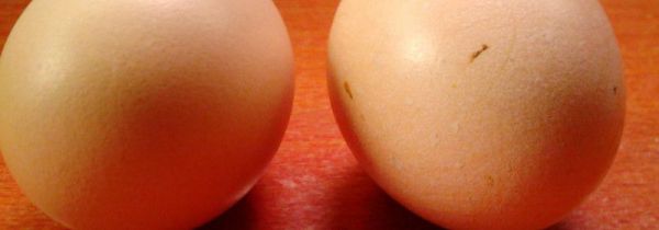 过夜的鸡蛋能吃吗