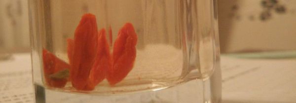 保温杯泡枸杞的危害